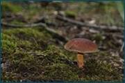 0_d2aa8_101f3807_orig.jpg