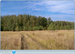 0_f475c_3c958968_orig.png