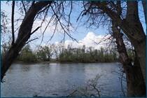 0_cc964_96e79815_orig.jpg