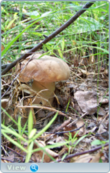 0_fc1a2_9a175149_orig.png