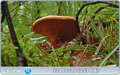 0_eb24d_c1a94af_orig.png