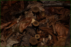 0_d973d_546ebe1c_orig.png