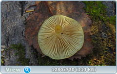 0_f381e_151c9215_orig.png