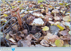 0_f6114_e8131d0f_orig.png