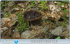 0_128235_6032e8bb_orig.png