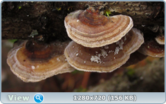0_f6e52_43ab9d7b_orig.png