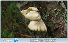 0_e90cc_2e69a01c_orig.png