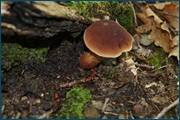 0_d2aa6_17380fc3_orig.jpg