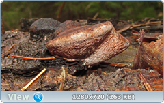 0_f6e7a_13f45df5_orig.png