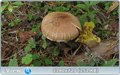 0_f324e_e0a05db0_orig.png