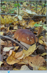 0_f4724_5307c9a9_orig.png