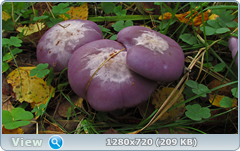 0_fc71e_bb4ea776_orig.png