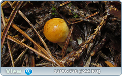 0_eb20e_f0ee3175_orig.png