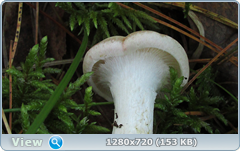 0_edabf_85f14cca_orig.png