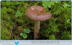 0_eb20a_4f9774b2_orig.png