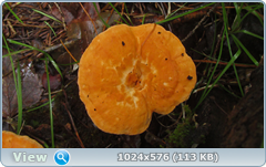 0_12c6ce_b5691590_orig.png