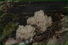 0_f6aa1_1220b0b9_orig.jpg