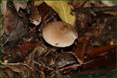 0_fffad_192e9054_orig.jpg