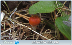 0_126116_d36841dd_orig.png