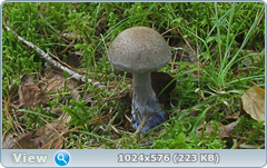 0_12bf03_1b66dca9_orig.png