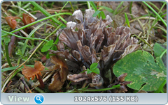 0_12c1ed_161eaecc_orig.png