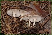 0_ec31f_ba6fa169_orig.jpg