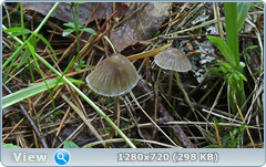 0_109246_3d564b21_orig.png