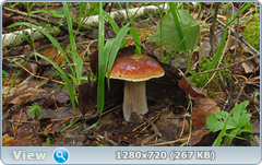 0_10a6ad_35a36165_orig.png