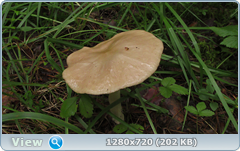 0_10dd86_1b789dd6_orig.png