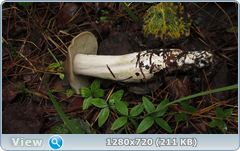 0_10dd8a_243f0986_orig.png