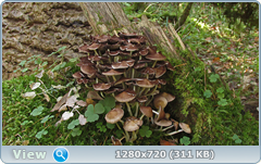 0_113360_7fe5cf2d_orig.png