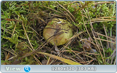 0_11337e_ee0c70f1_orig.png