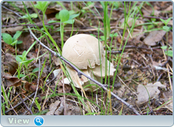 0_102c35_58ffe26_orig.png