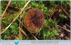 0_fbead_c4b82347_orig.png