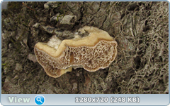 0_101300_fca04f26_orig.png