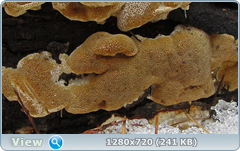 0_10385f_a490996a_orig.png