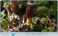0_105601_92e044aa_orig.png