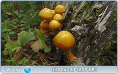 0_1122f4_67647e24_orig.png
