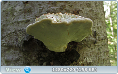0_11230e_9c369bdb_orig.png