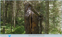 0_112310_7b24c492_orig.png