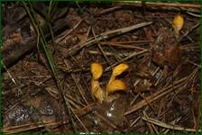 0_ea2e0_2c4aa594_orig.jpg