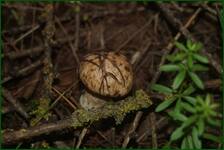 0_ea330_8cf81110_orig.jpg