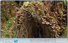 0_1122da_b71568db_orig.png