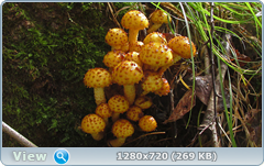 0_112300_32a28e0a_orig.png
