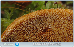 0_114c95_d8482d77_orig.png