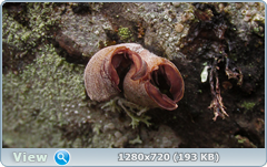 0_1150a4_354b5535_orig.png