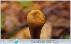 0_1150c0_c50f0a54_orig.png