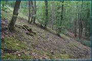 0_d0982_15234042_orig.jpg