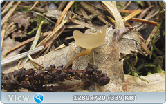 0_e5842_829be120_orig.png