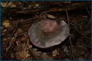 0_d23b8_2498ae74_orig.jpg